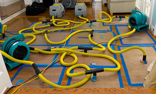 Professional Crawl Space Water Removal technician working in Russell, MA